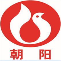 朝陽(yáng)泵業(yè)QZ軸流、QH混流潛水電泵